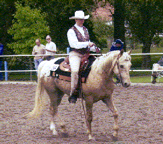 Westernreitunterricht